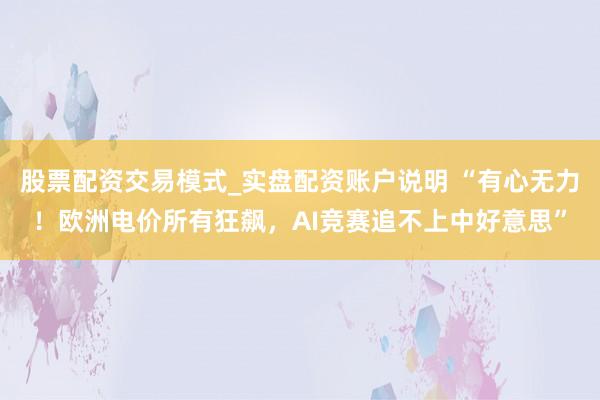 股票配资交易模式_实盘配资账户说明 “有心无力！欧洲电价所有狂飙，AI竞赛追不上中好意思”